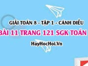 Giải bài 11 trang 121 Toán 8 Tập 1 SGK Cánh Diều